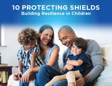 10-ProtectiveShields2_clicka